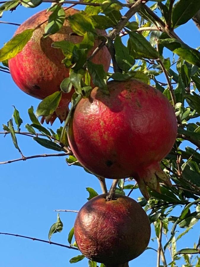 مبيت وإفطار تراني Apulia Casa E Cucina المظهر الخارجي الصورة