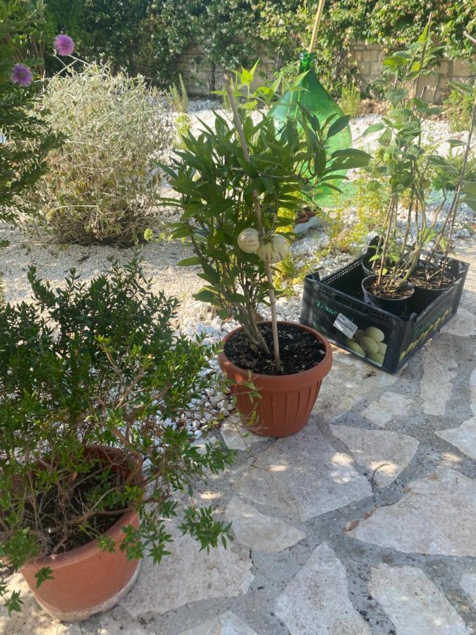 مبيت وإفطار تراني Apulia Casa E Cucina المظهر الخارجي الصورة